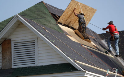 Emergency Roof Repair In Hollywood: Who To Call & What To Do